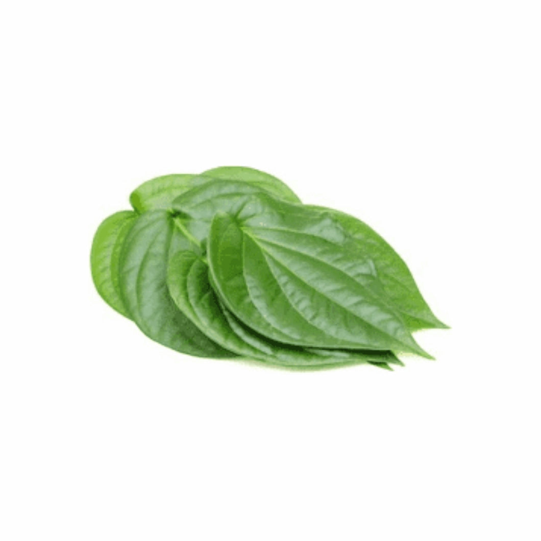 Organic Betel/Pan Leaves (पान के पत्ते) - 5 Nos.