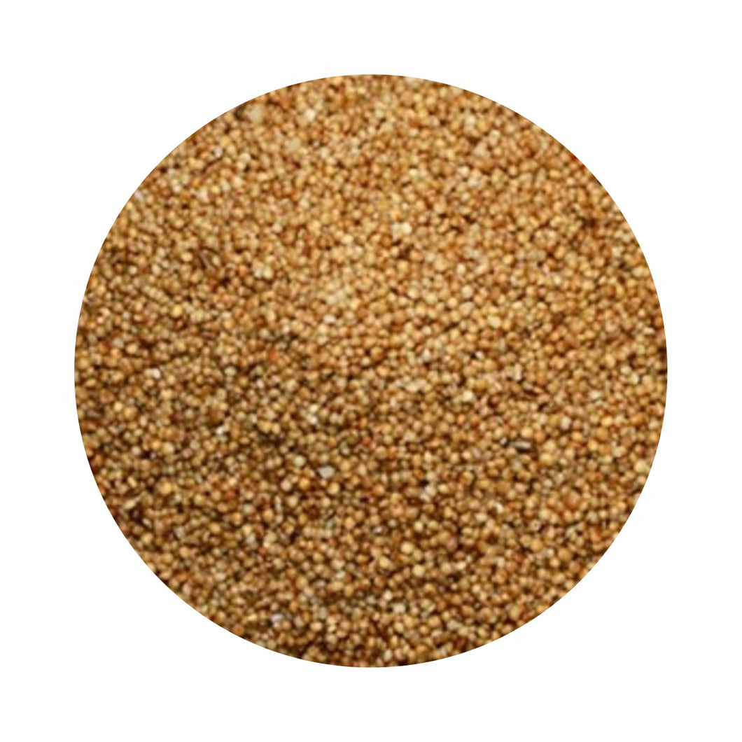 Organic Kodo Millet (कोदो मिलेट)