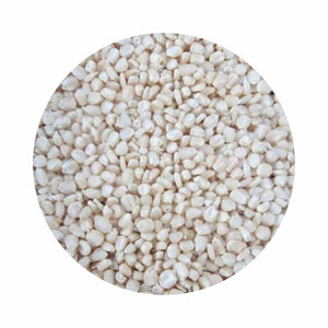 Organic White Maize/Safed Makka (सफेद मक्का)